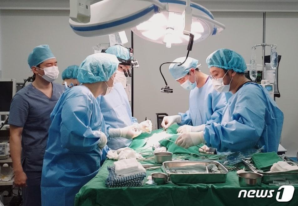 본문 이미지 - 강아지 이첨판 폐쇄부전증 수술하는 수의사들. 사진 헬릭스동물메디컬센터 제공 ⓒ 뉴스1