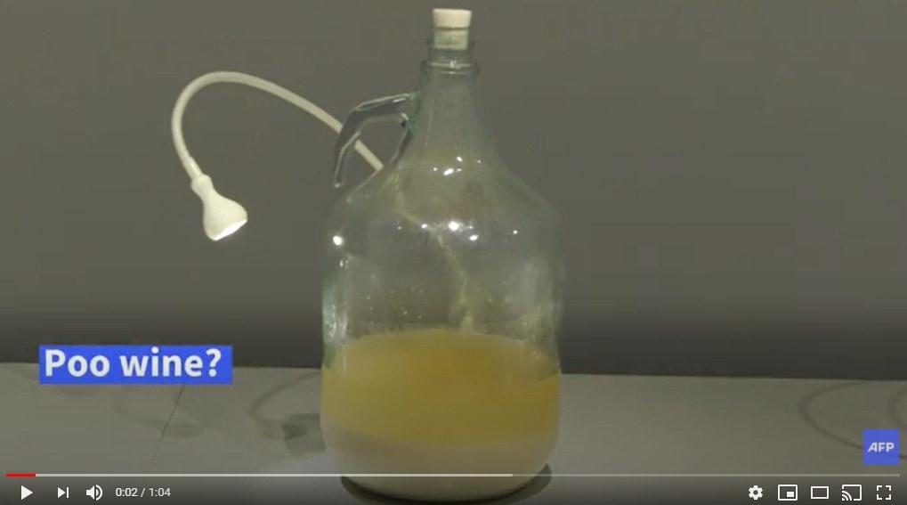 본문 이미지 - 한국의 똥술-AFP 유튜브 동영상 캡처