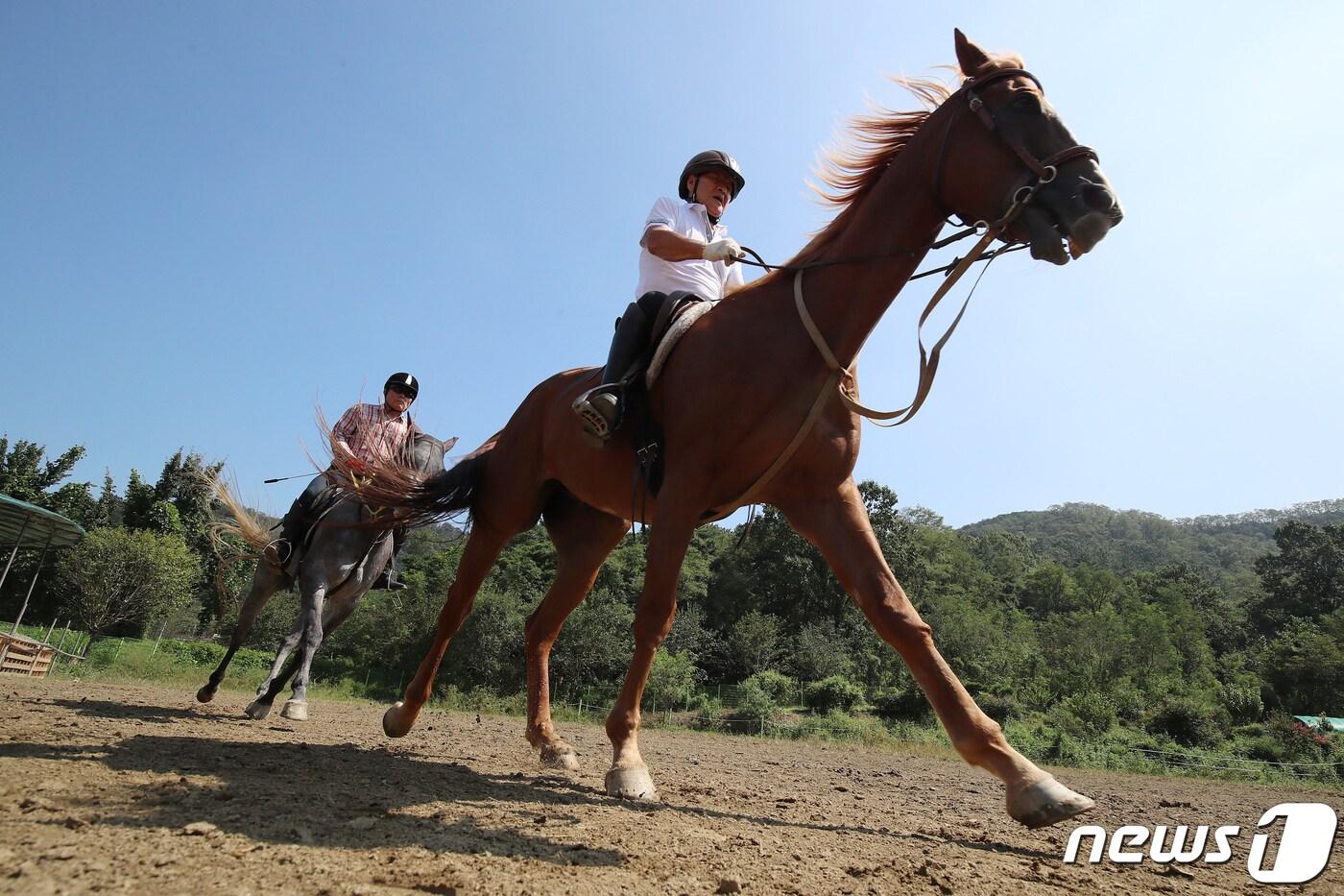 기사 이해를 돕기 위한 승마 자료 사진으로, 기사 내용과 직접 관련 없음. (재판매 및 DB금지)/뉴스1