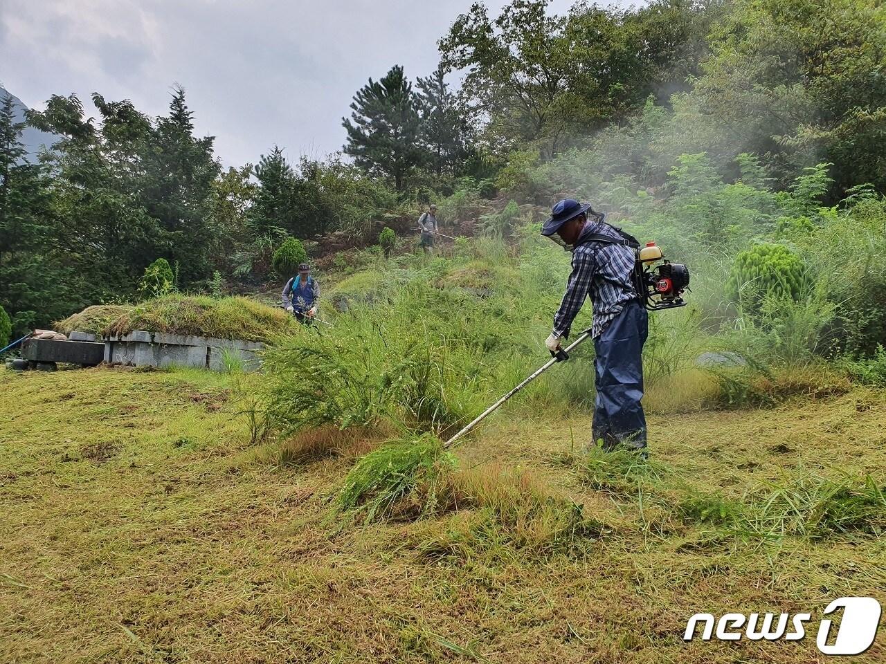 본문 이미지 - 순천시산림조합 벌초 서비스.(순천시 제공) /뉴스1