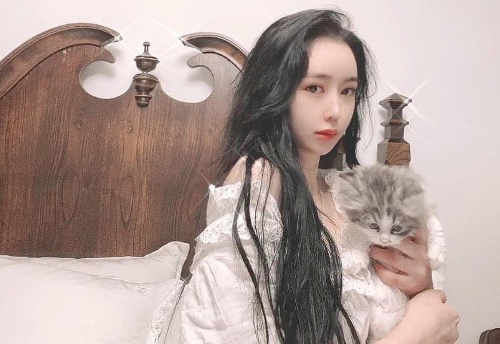 본문 이미지 - BJ 엉두. 아프리카티비 방송화면 갈무리 ⓒ 뉴스1