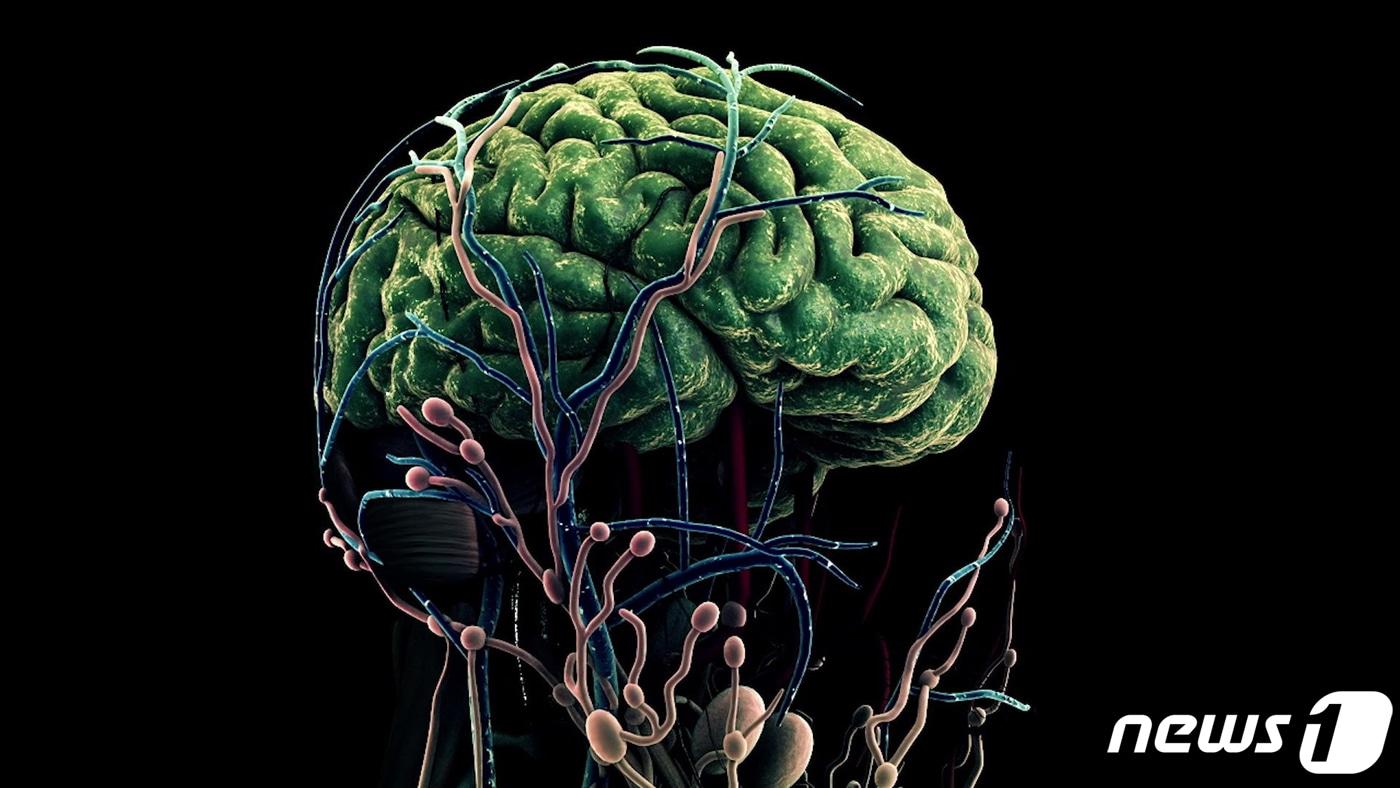 인간의 뇌를 형상화한 그래픽. (삼성전자 제공) 2020.9.20/뉴스1