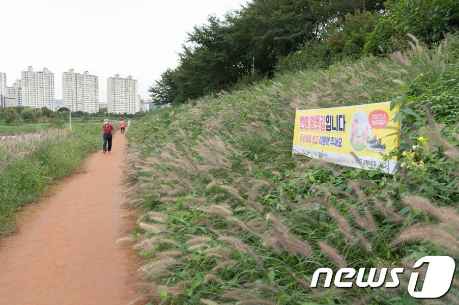본문 이미지 - 도심 황톳길 자료사진 /뉴스1