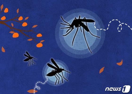 본문 이미지 - ⓒ News1 DB