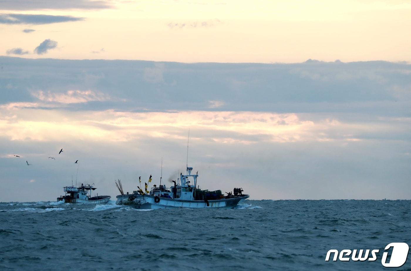 인천 옹진군 대연평도 앞바다의 꽃게잡이 어선들. (사진은 기사 내용과 무관함) / 뉴스1 ⓒ News1 구윤성 기자