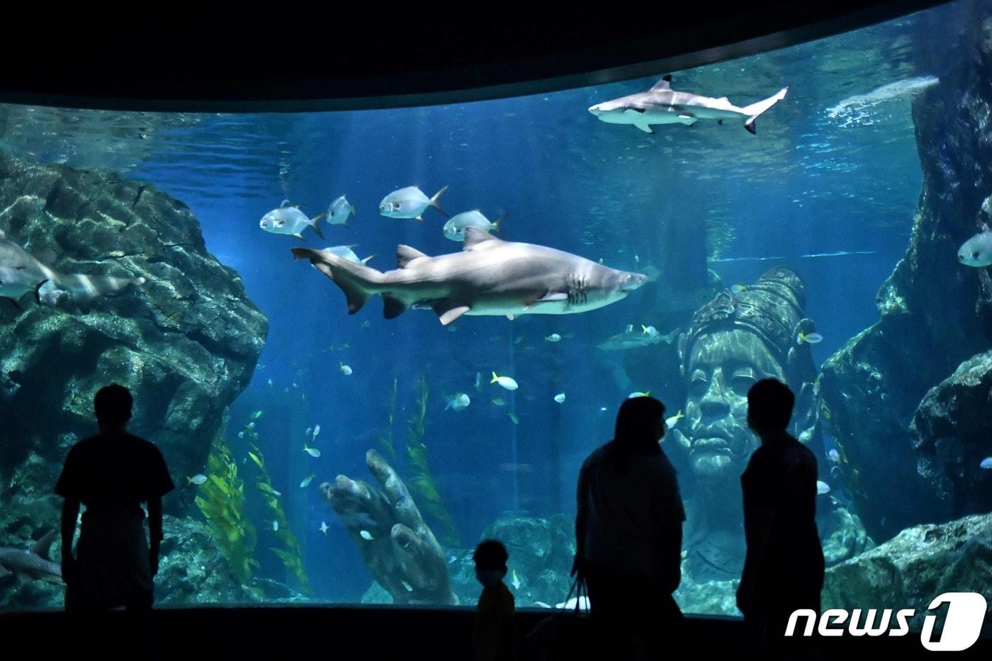 태국의 한 수족관 ⓒ AFP=뉴스1