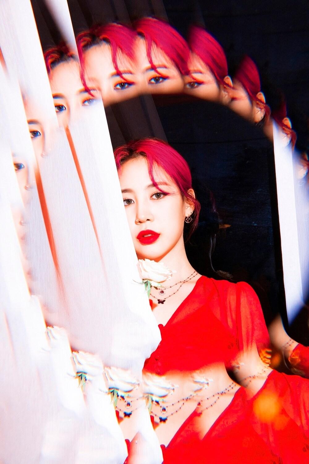 본문 이미지 - 제이미/워너뮤직코리아 ⓒ 뉴스1