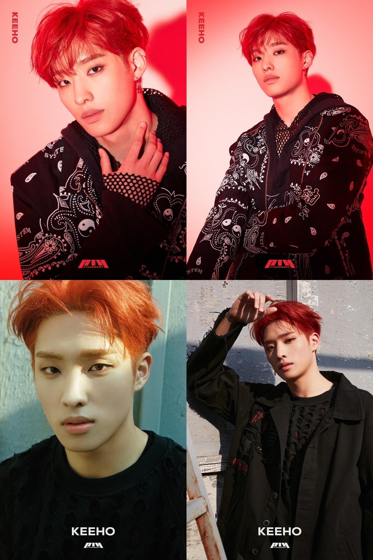 본문 이미지 - 피원하모니 기호/FNC엔터테인먼트 ⓒ 뉴스1