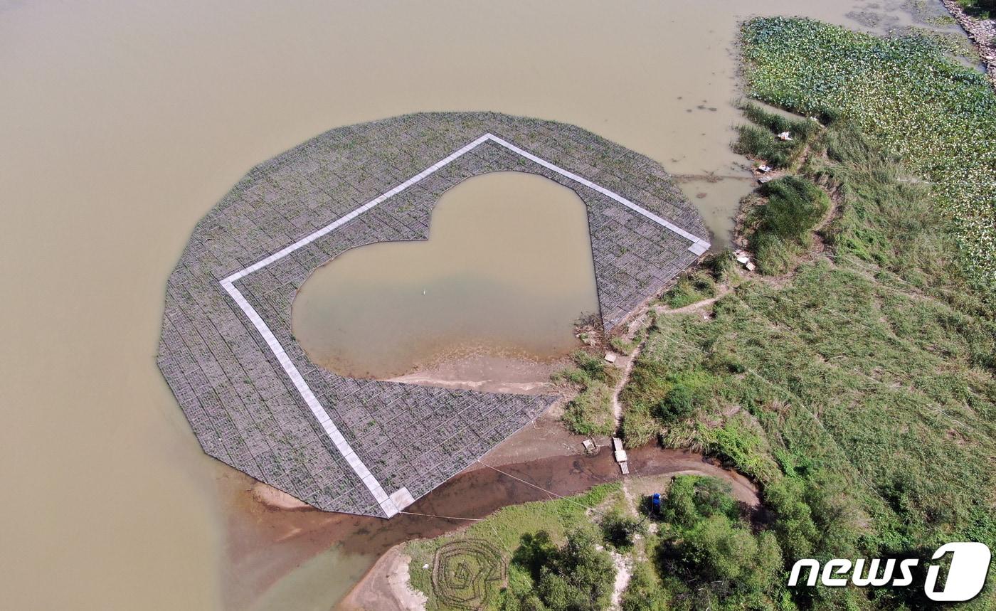 본문 이미지 - 춘천 인공 수초섬.(뉴스1 DB)