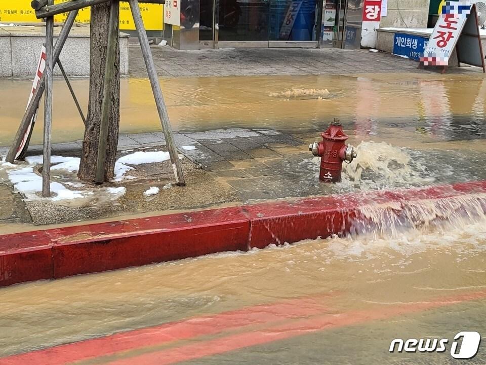 본문 이미지 - 11일 오전 9시께 대전 서구 둔산동 대전지방법원 맞은편 도로에 매설된 상수도관이 터져 때 아닌 물난리가 일어났다. ⓒ 뉴스1