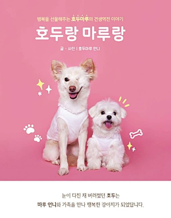 본문 이미지 - 사진 호두랑 마루랑 표지 ⓒ 뉴스1