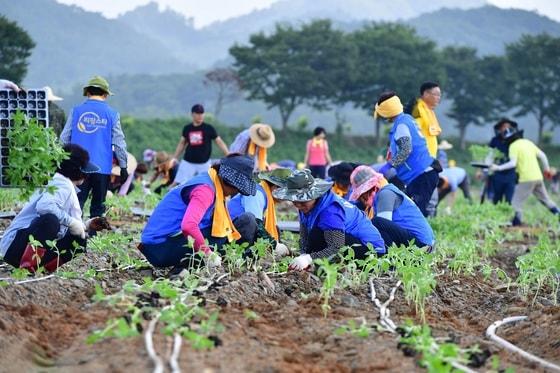 본문 이미지 - 귀농귀촌인 정착 지원사업(자료사진)/뉴스1