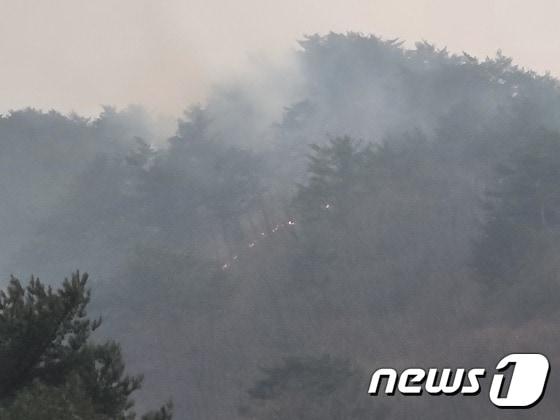 본문 이미지 - 건조한 건조한 날씨가 지속되면서 강원 영동 및 영남권서 총 4건의 산불이 났다. 사진은 강원 인제군 인제읍 덕적리 산불(북부지방산림청 제공)ⓒ 뉴스1