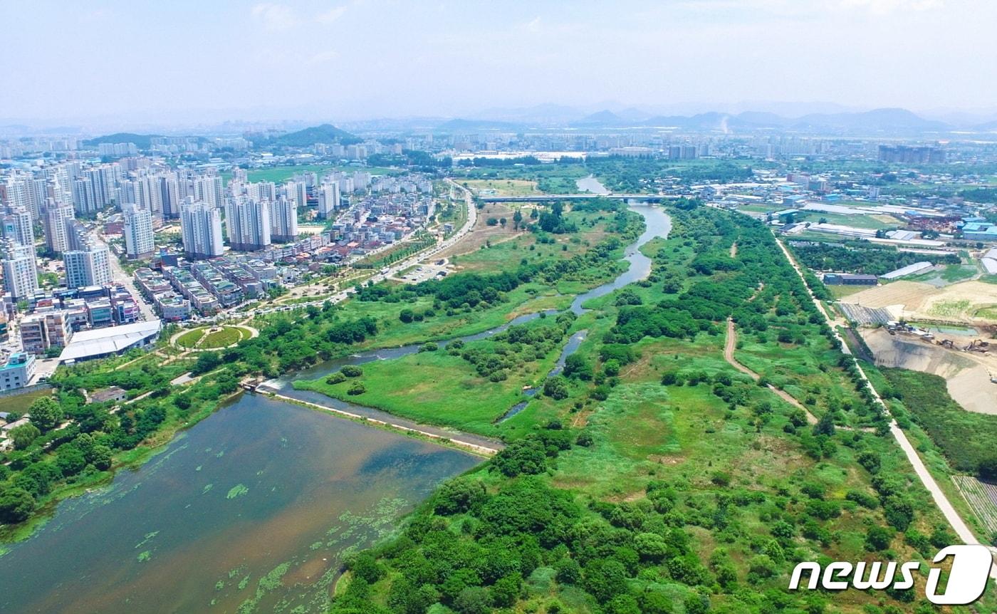 국내 첫 도심 속 국가습지인 장록습지  모습ⓒ 뉴스1