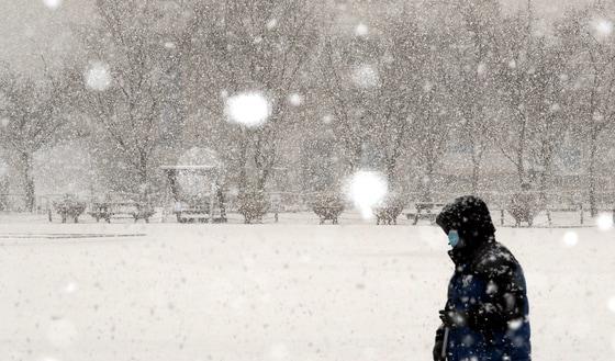 본문 이미지 - 청주 눈 자료사진/뉴스1