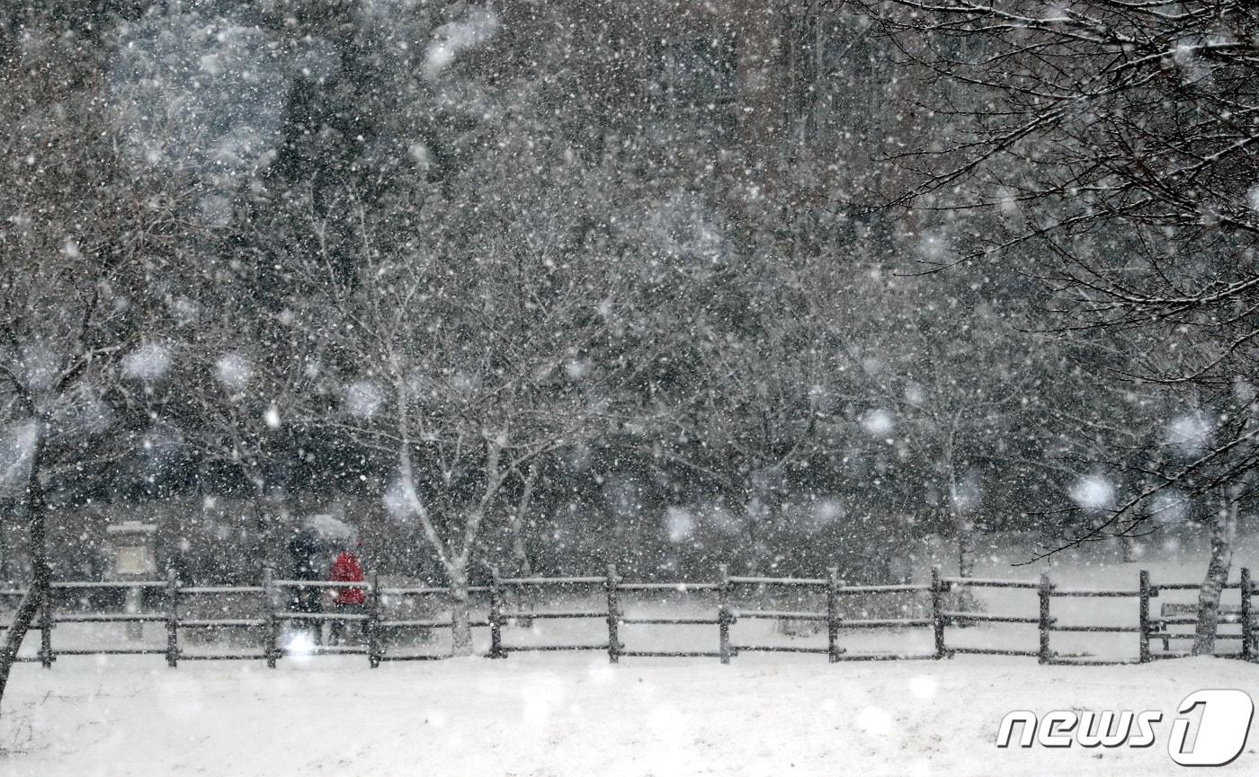 본문 이미지 - 청주 눈 자료사진. ⓒ News1