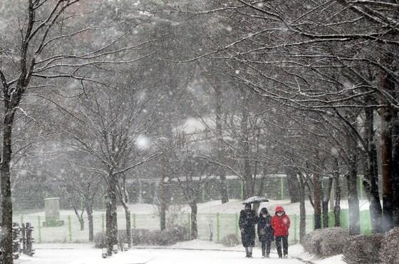 본문 이미지 - 청주 눈 자료사진/News1 김용빈 기자