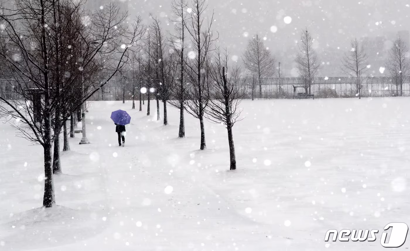 18일 오후 충북 청주시 흥덕구 오송읍 돌다리못 인근에서 한 시민이 눈을 맞으며 길을 걷고 있다. 이날 충북 전역에는 대설주의보가 내려졌다. 2021.1.18/뉴스1 ⓒ News1 김용빈 기자