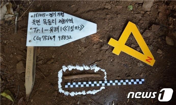 본문 이미지 - 경기 가평에서 발굴된 전원식 일병의 최초 유해식별현장 모습. &#40;국방부 제공&#41; 2021.1.20/뉴스1