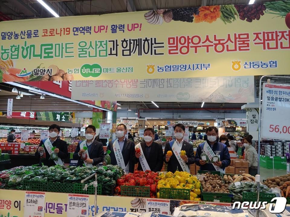 본문 이미지 - 밀양지역 농산물 직거래 판매실적이 역대 최고를 기록했다. 사진은 지난해 11월 농협하나로마트울산점에서 진행된 밀양우수농산물 직판전 행사. /ⓒ 뉴스1