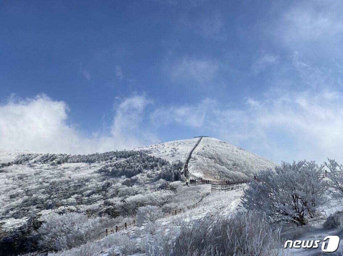 본문 이미지 - 단양 소백산 비로봉 등산로.ⓒ 뉴스1