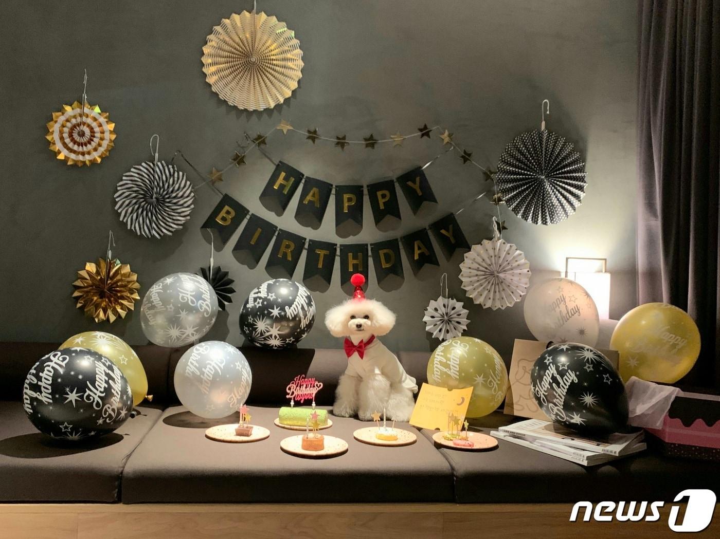 본문 이미지 - 사진 소노호텔&리조트 제공ⓒ 뉴스1