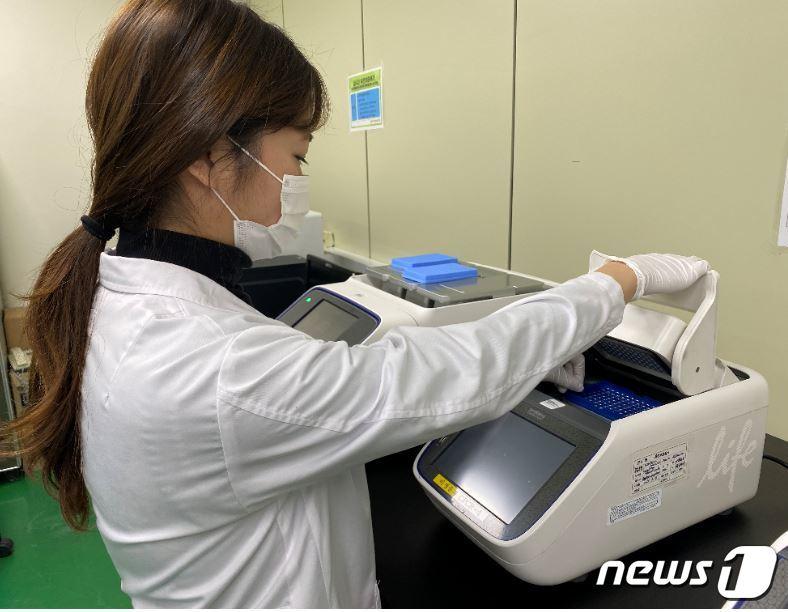 본문 이미지 - 전남보건환경연구원 연구원들이 감염병에 대한 검사를 진행하고 있는 모습.(전남도 제공) 2020.1.3 /뉴스1 ⓒ News1 전원 기자