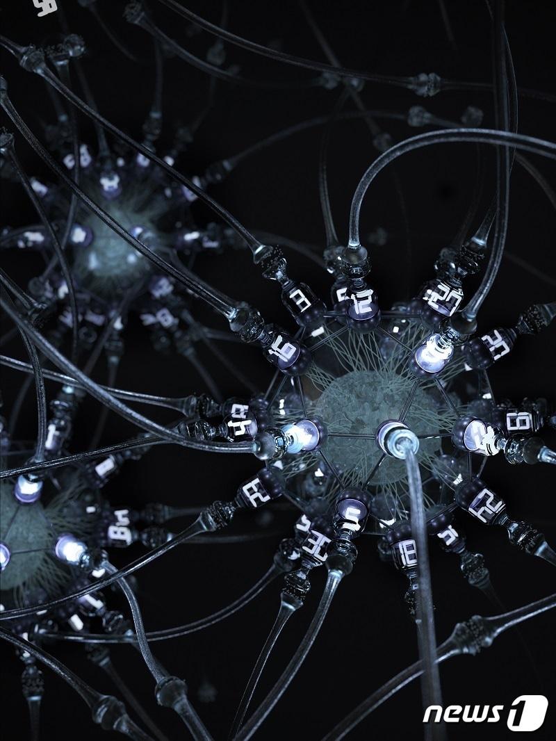 본문 이미지 - 심층 신경망에서 무작위적인 계층적 연결 구조를 통해 자발적으로 발생하는 수량 선택성을 묘사하는 삽화(KAIST 제공) ⓒ뉴스1