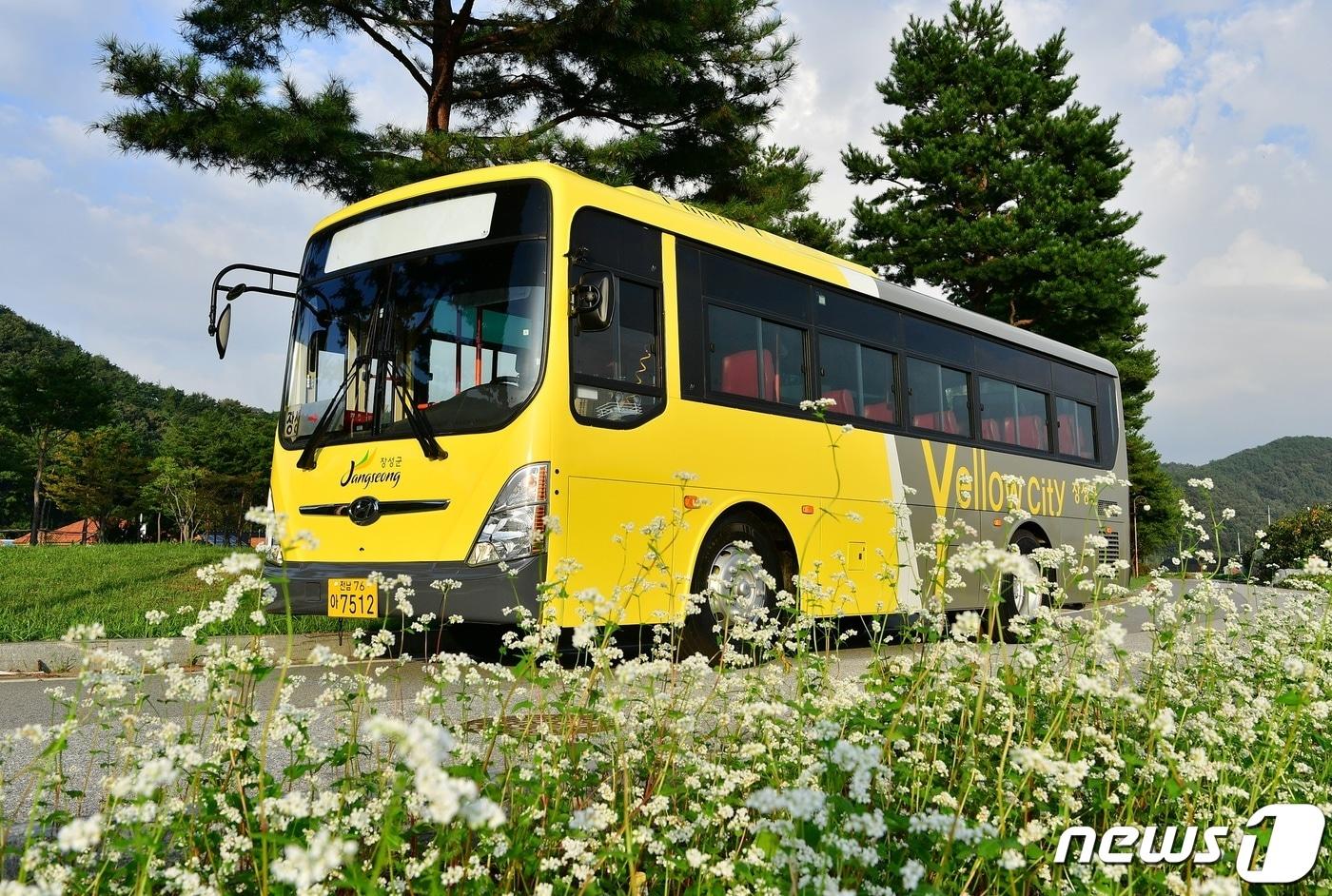 본문 이미지 - 2월부터 전남 장성군의 농촌버스 . 사진은 기사 내용과는 관계 없음. ⓒ 뉴스1 박영래 기자