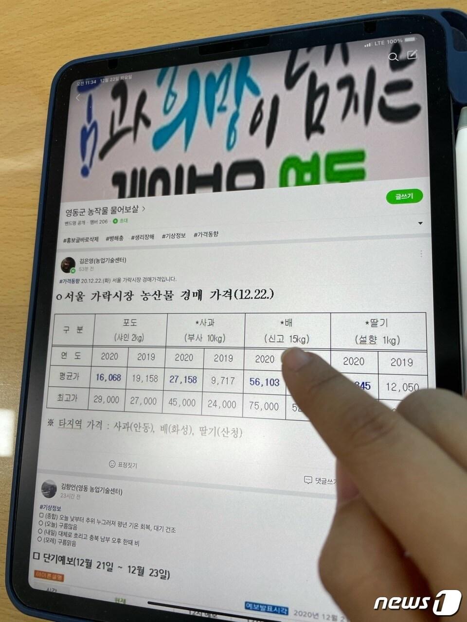 본문 이미지 - 충북 영동군이 개설한 '농작물 물어보살' .  ⓒ 뉴스1