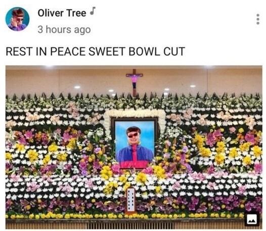 본문 이미지 - 올리버 트리 트위터 ⓒ 뉴스1