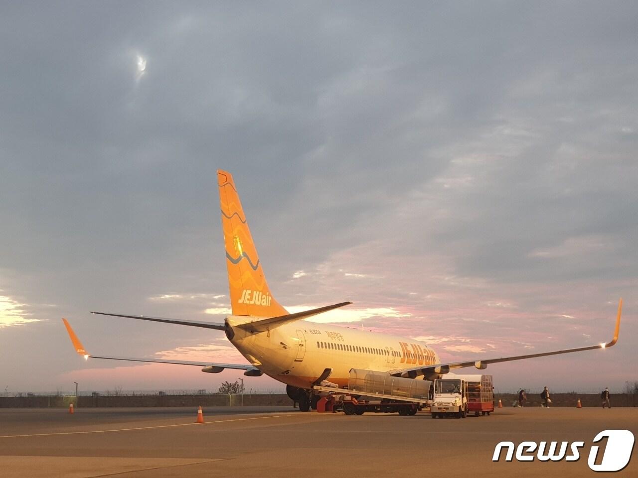 본문 이미지 - 전북 군산과 제주 간을 운항하는 제주항공.ⓒ 뉴스1