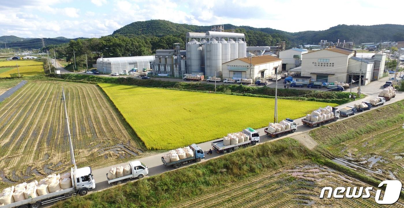 본문 이미지 - ⓒ News1 김영운 기자