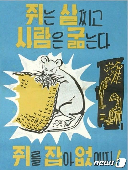 본문 이미지 - 1970년대 정부의 쥐잡기 포스터. (자료사진) ⓒ 뉴스1