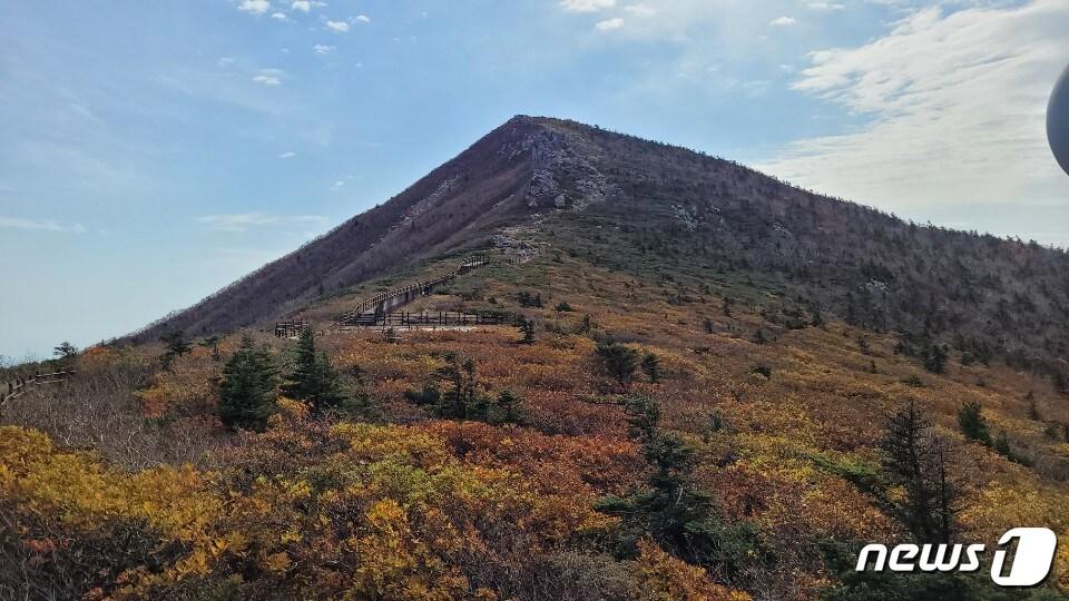 본문 이미지 - 지난 1일 촬영된 강원 설악산국립공원 대청봉 자료사진. (설악산국립공원 제공.) 2021.10.2/뉴스1