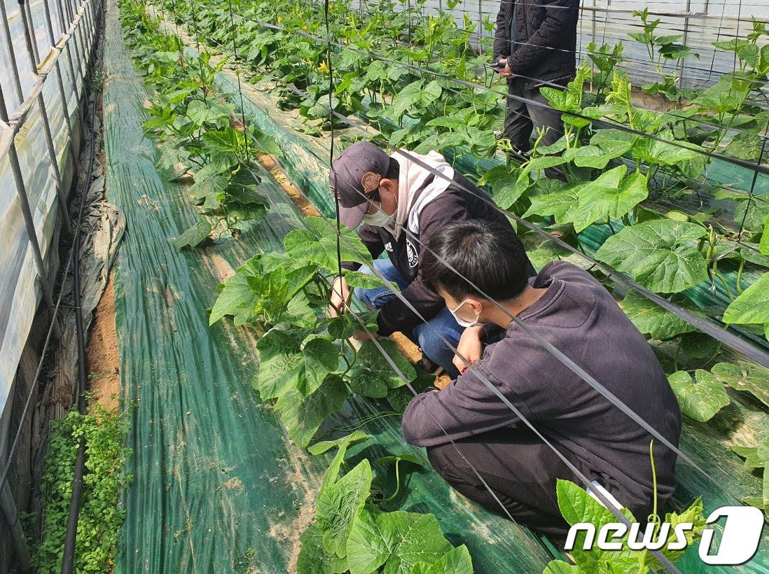 본문 이미지 - 충북 청주농업기술센터는 농업인을 대상으로 토양검정 등 무료 분석서비스를 제공한다.(청주시 제공).2021.10.20/ⓒ 뉴스1