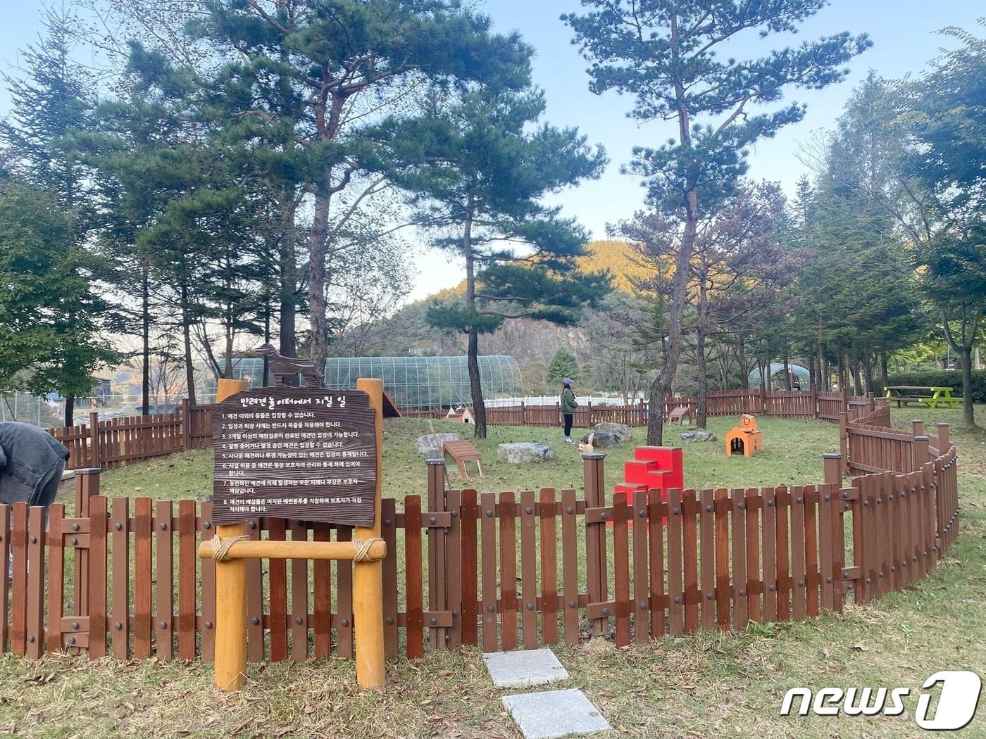 본문 이미지 - 21일 충북 충주시는 수안보하수처리장에 시민 휴식공간을 조성했다고 밝혔다. 사진은 반려견 놀이터.(충주시 제공)2021.10.21/ⓒ 뉴스1