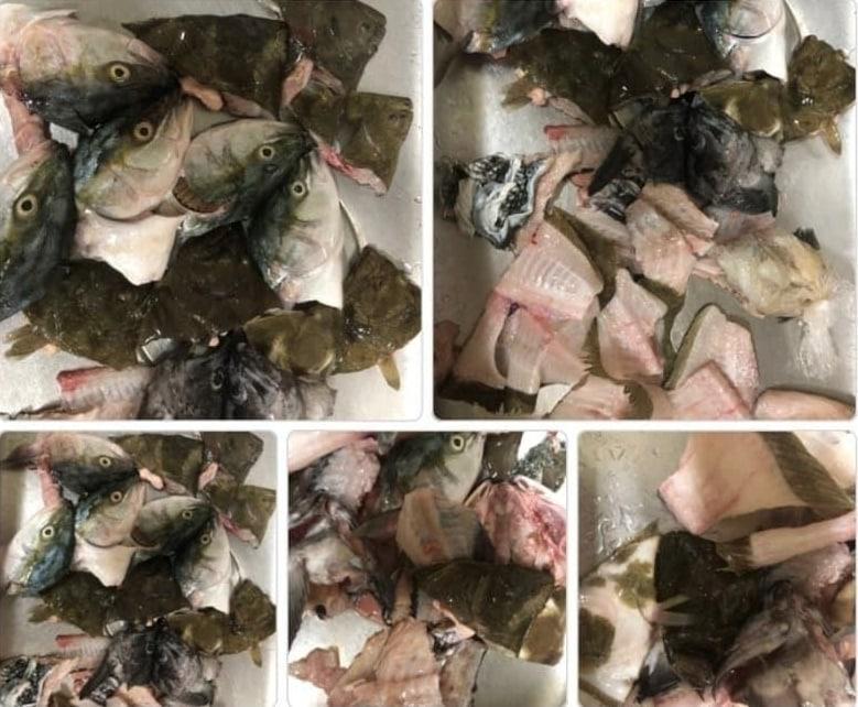 본문 이미지 - 광어 1인분을 주문한 손님이 받은 생선 대가리 11개. (온라인 커뮤니티 갈무리) ⓒ 뉴스1