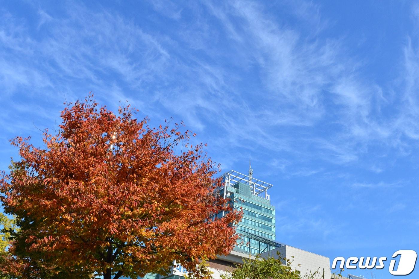 본문 이미지 - 지난 26일 경북 포항 시청사 위로 푸른 가을하늘이 펼쳐지고 있다. 2021.10.26/뉴스1 ⓒ News1 최창호 기자