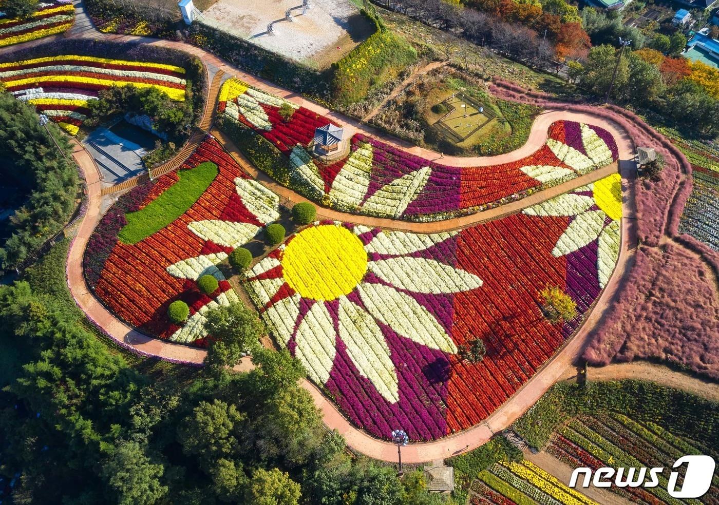 본문 이미지 - 전남 화순 남산공원. ⓒ 뉴스1