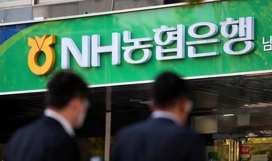 본문 이미지 - 자료사진/뉴스1