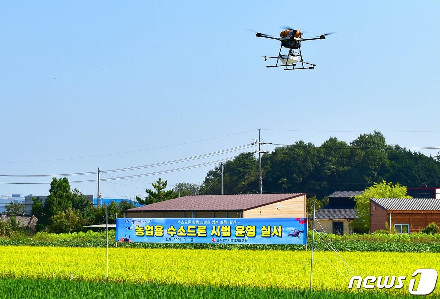 본문 이미지 - 광주시농업기술센터가 1일 광산구 용곡동 센터 일원에서 전국에서 처음으로 농업용 수소드론 실증 시연을 하고 있다.(광주시 제공)2021.10.4/뉴스1 ⓒ News1