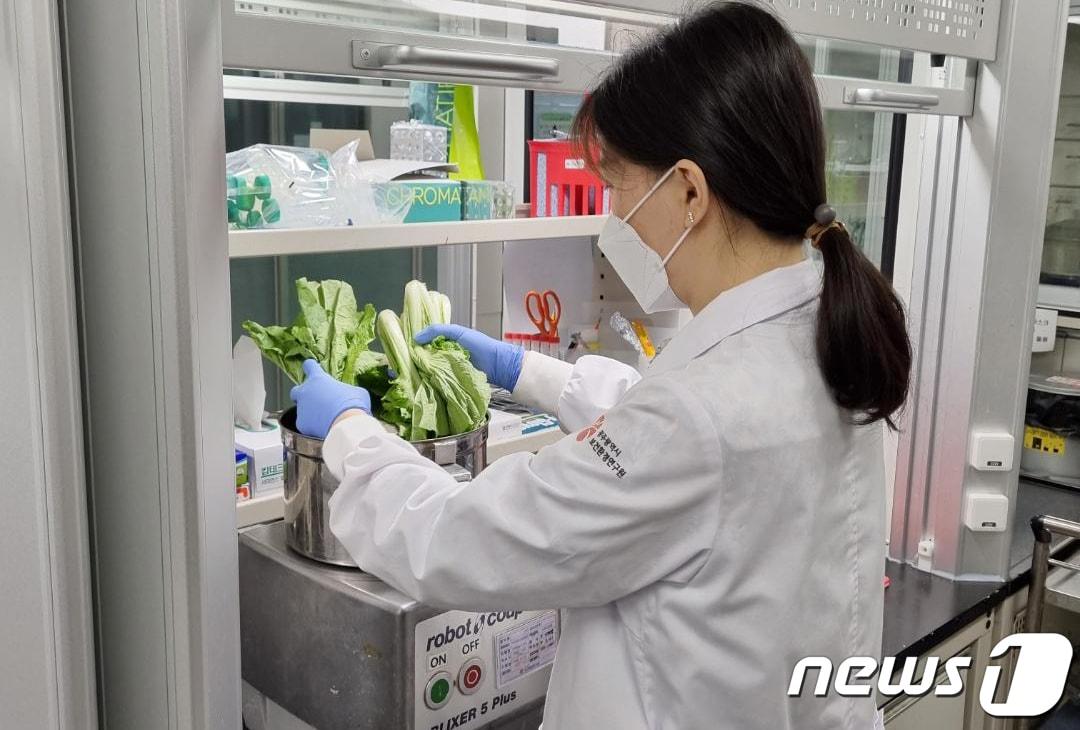 본문 이미지 - 광주시 보건환경연구원 한 연구원이 농산물 잔류농약 검사를 하고 있다.(광주시 제공)2021.10.5/뉴스1 ⓒ News1 박준배 기자