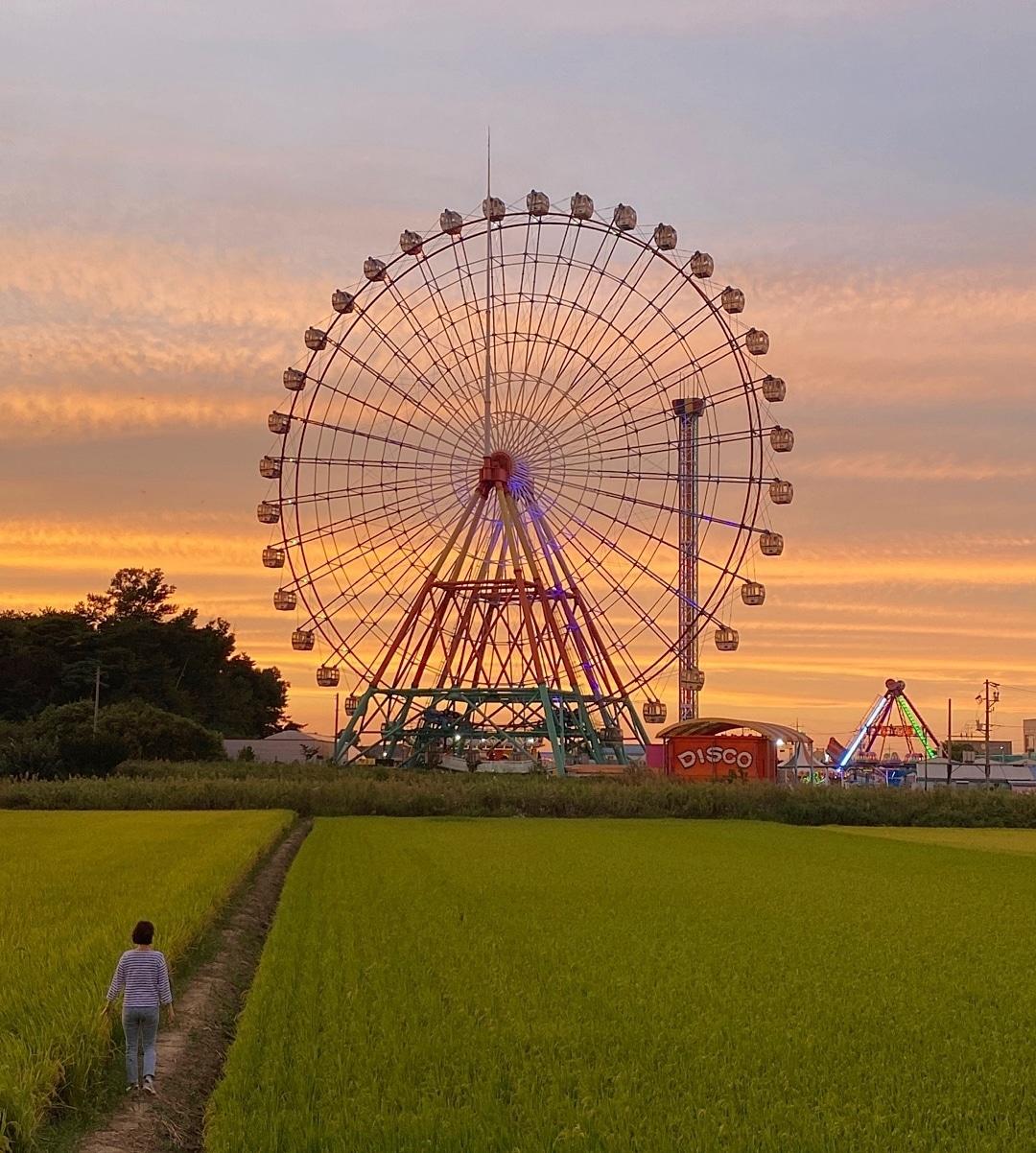 본문 이미지 - 삽교호놀이동산 뒤편이 최근 SNS 인증샷 명소로 떠오르고 있다ⓒ 뉴스1 윤슬빈 기자