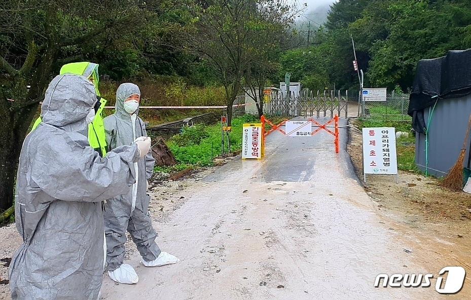 본문 이미지 - 6일 강원 인제군 남면의 한 양돈농장에서 아프리카돼지열병이 발생해 방역요원들이 농장 출입을 통제하고 있다.(인제군 제공) 2021.10.6/뉴스1