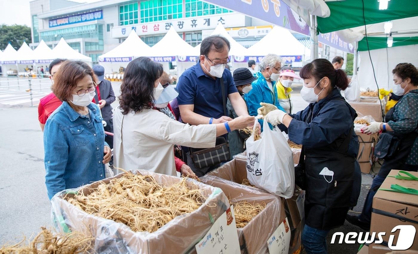 본문 이미지 - 증평 인삼상설 판매장 워킹스루 직거래 행사에서 소비자들이 인삼을 구입하고 있다.(증평군 제공)ⓒ 뉴스1