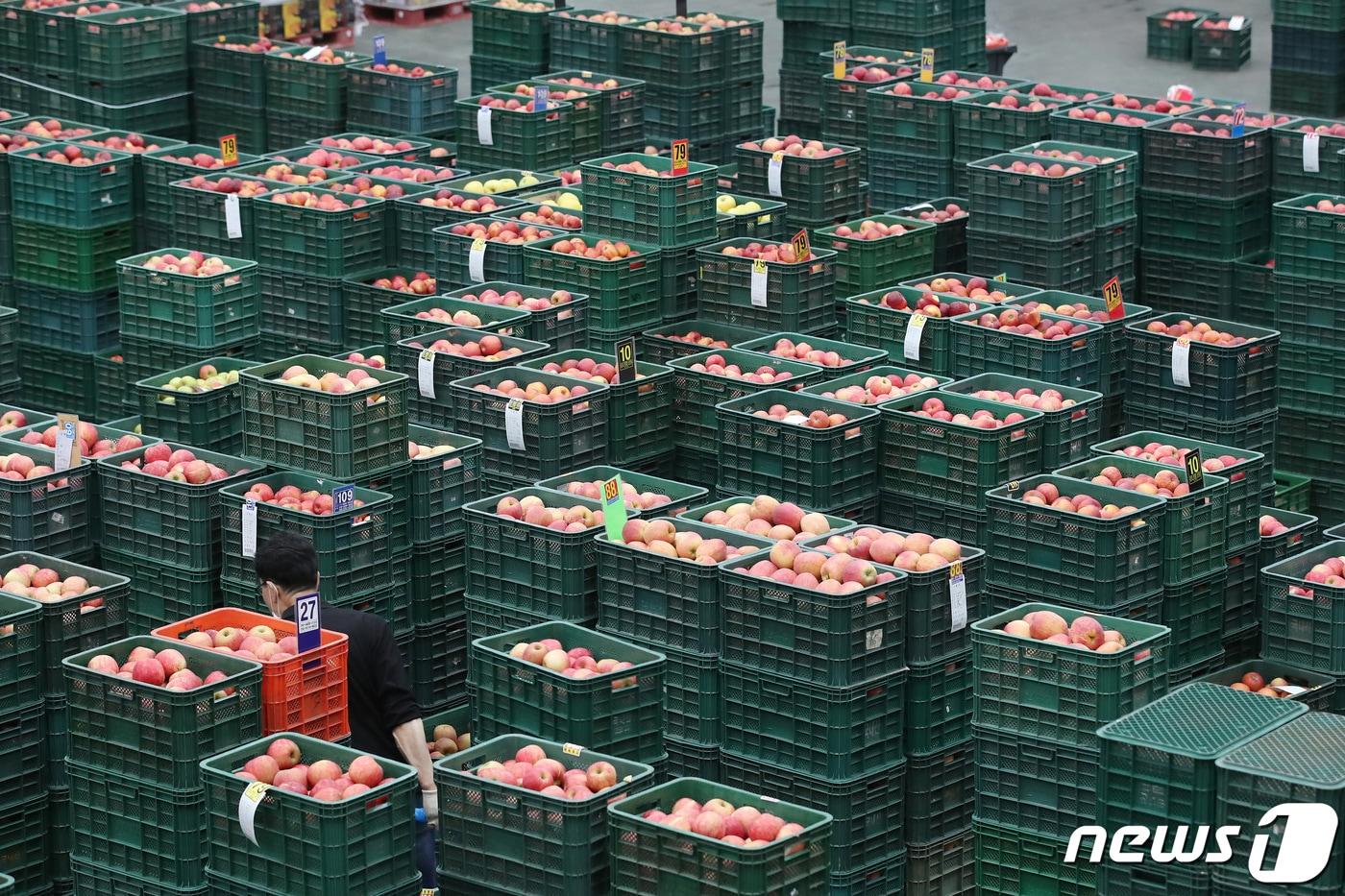7일 오후 경북 안동시 농산물도매시장 경매장에 양광·감홍·시나노 골드 등 지역 과수농가에서 올가을 수확한 햇사과가 수북이 쌓여 있다. 2021.10.7/뉴스1 ⓒ News1 공정식 기자
