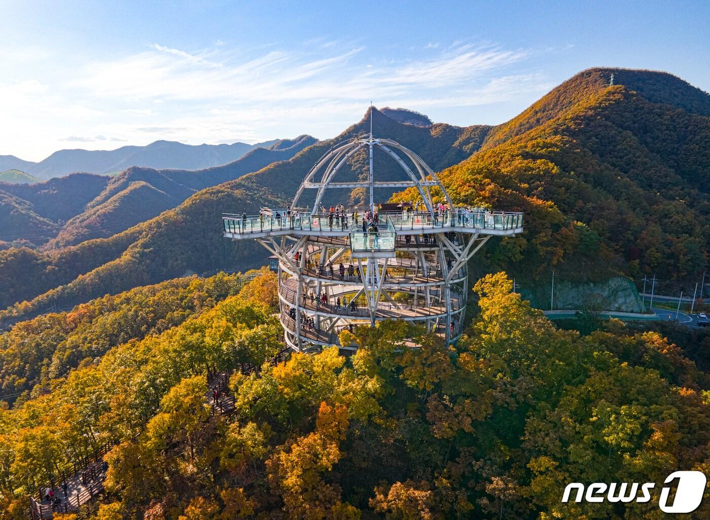 본문 이미지 - 충북 단양군 만천하스카이워크.ⓒ 뉴스1