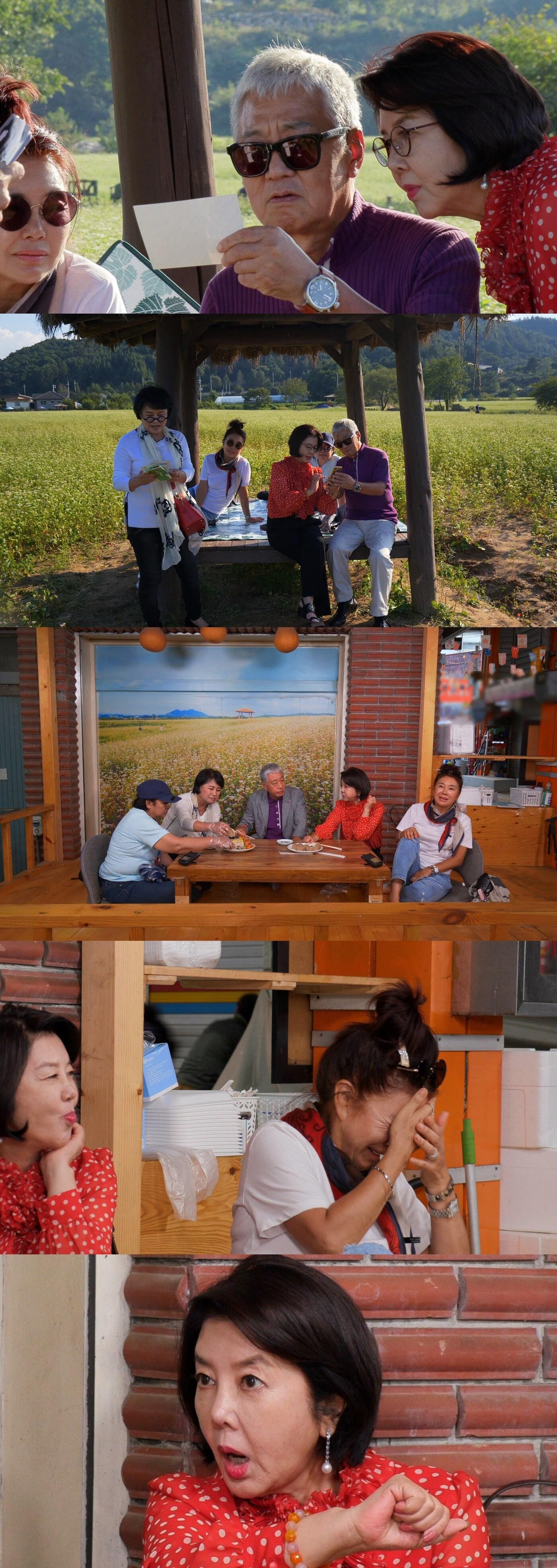 본문 이미지 - KBS 박원숙의 같이 삽시다 ⓒ 뉴스1