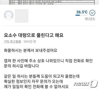 본문 이미지 - 10일 중고 거래 애플리케이션인 당근마켓에 한 사용자가 충북지역 요소수 입고 예정 주유소 리스트를 올려 공유했다. 2021.11.10/ⓒ 뉴스1